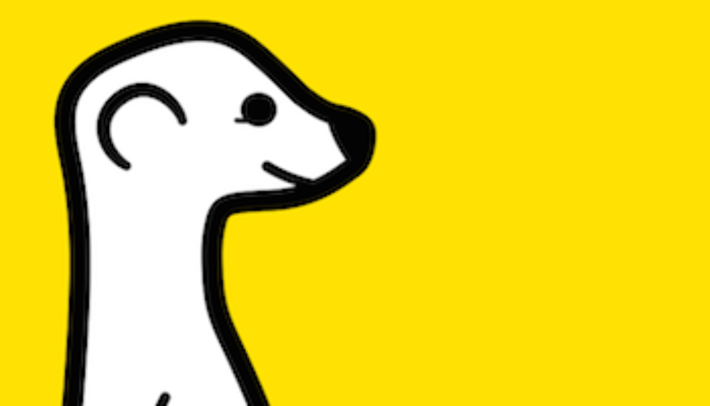 Meerkat Video