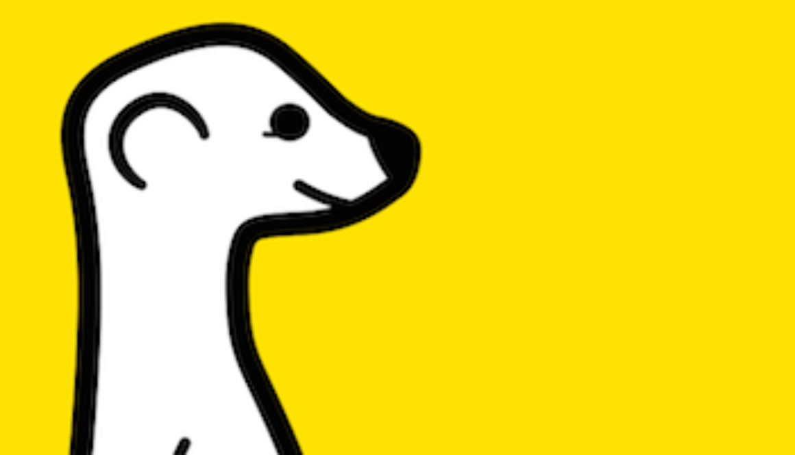 Meerkat Video