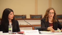 Mary Anne Franks and Emma Llanso on panel